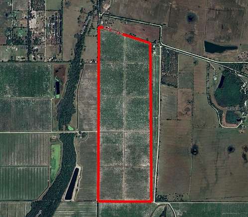 307 Acres of Land for Sale in Arcadia, Florida