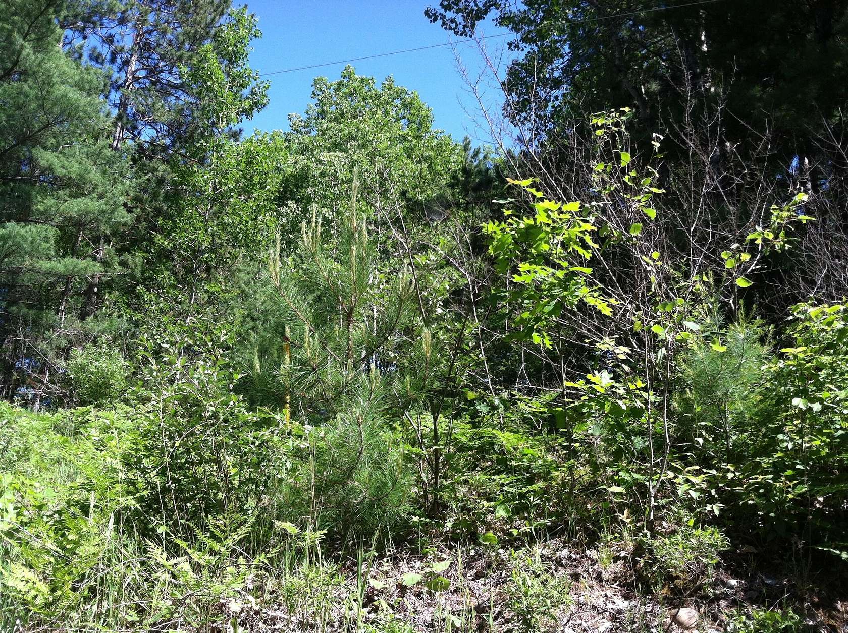3.22 Acres of Residential Land for Sale in Spruce, Michigan