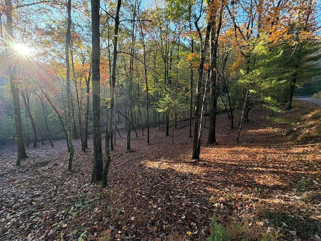 2 Acres of Land for Sale in Mineral Bluff, Georgia