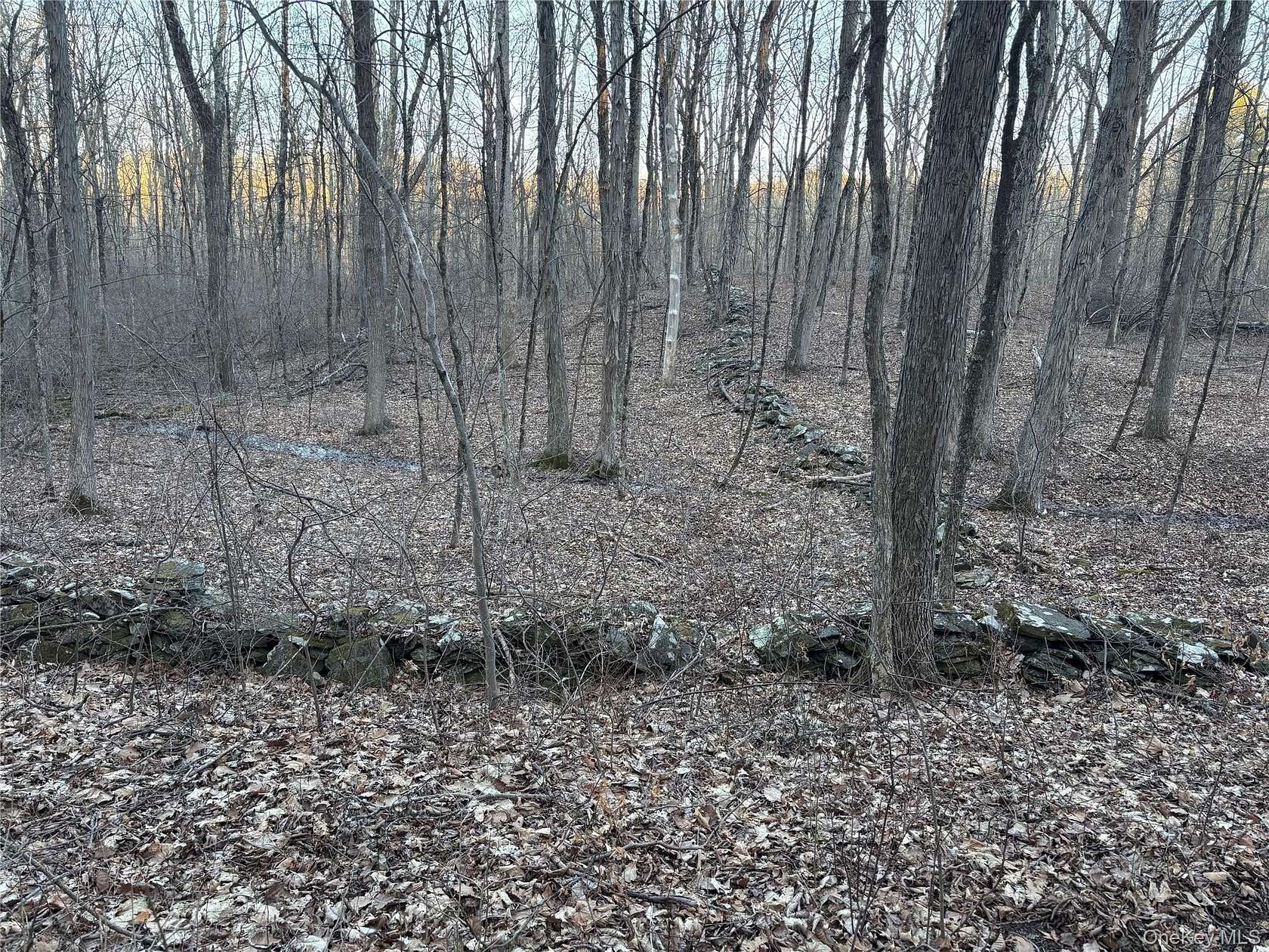 38.3 Acres of Recreational Land for Sale in Pleasant Valley, New York