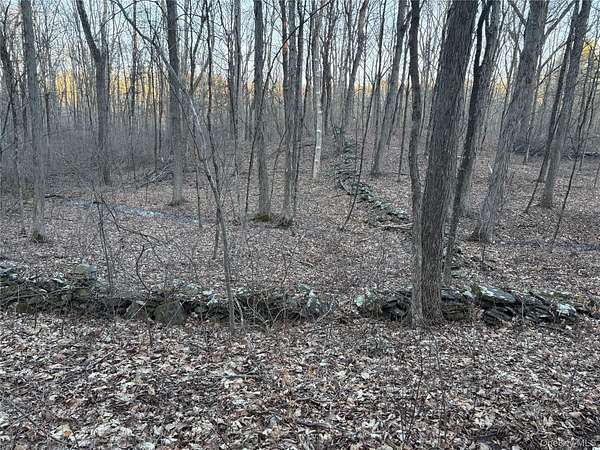 38.3 Acres of Recreational Land for Sale in Pleasant Valley, New York