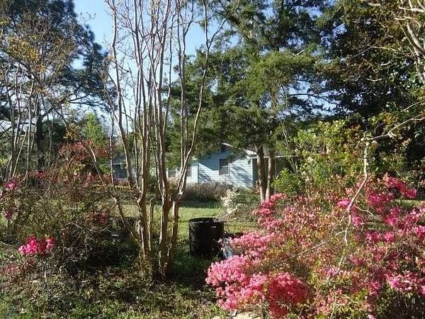 2.35 Acres of Residential Land with Home for Sale in Mauk, Georgia