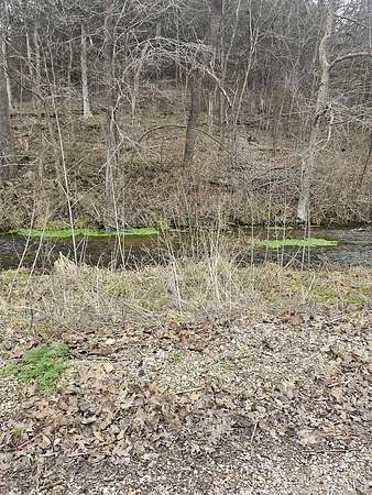 7.2 Acres of Land for Sale in Clever, Missouri