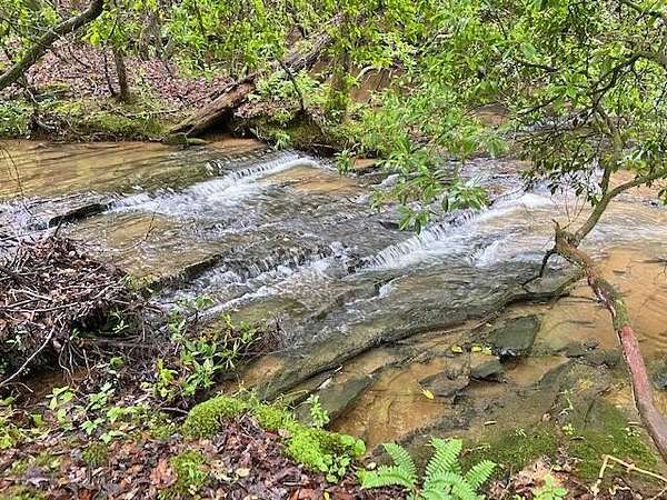 80 Acres of Recreational Land for Sale in Ball Ground, Georgia