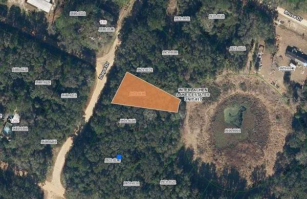 0.22 Acres of Residential Land for Sale in Interlachen, Florida