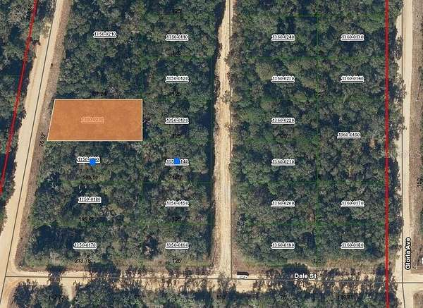 0.28 Acres of Residential Land for Sale in Interlachen, Florida