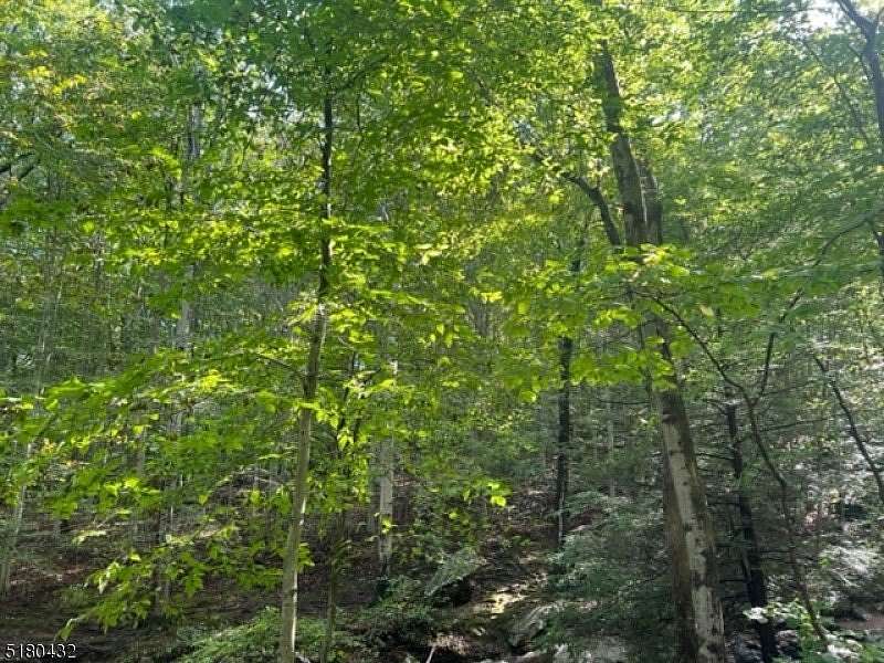 3.3 Acres of Residential Land for Sale in Mine Hill Township, New Jersey