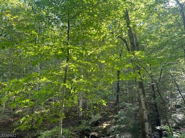 3.3 Acres of Residential Land for Sale in Mine Hill Township, New Jersey