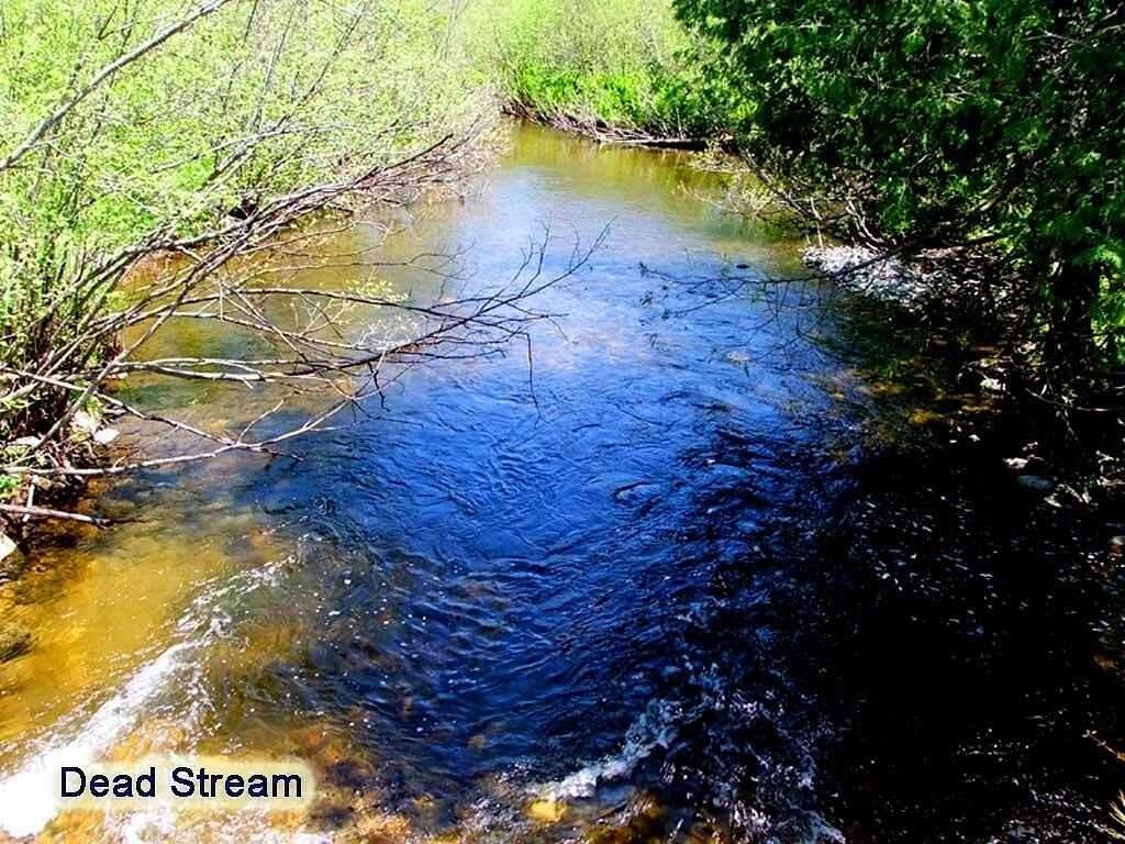 59 Acres of Recreational Land & Farm for Sale in Monticello, Maine