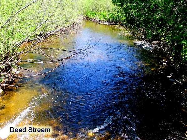 59 Acres of Recreational Land & Farm for Sale in Monticello, Maine