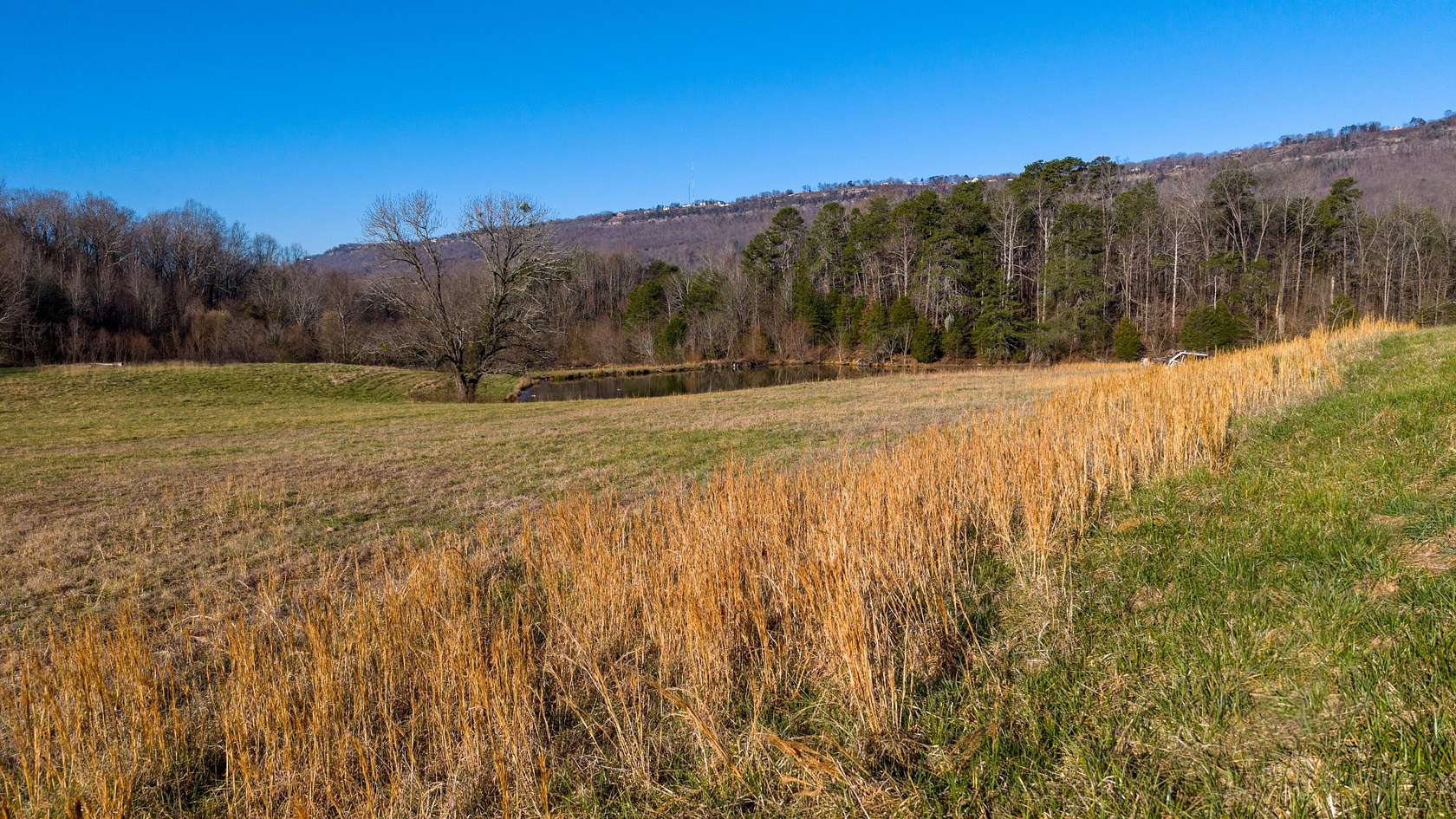 26 Acres of Recreational & Residential Land for Sale in Chattanooga, Tennessee