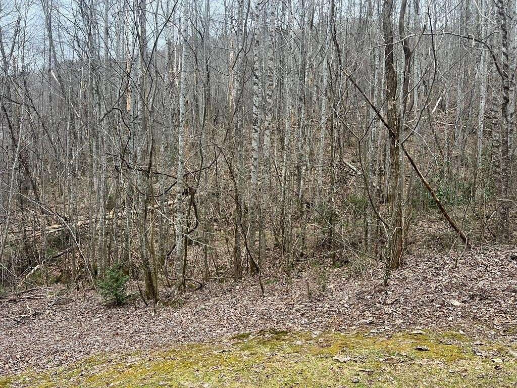 3.5 Acres of Residential Land for Sale in Whittier, North Carolina
