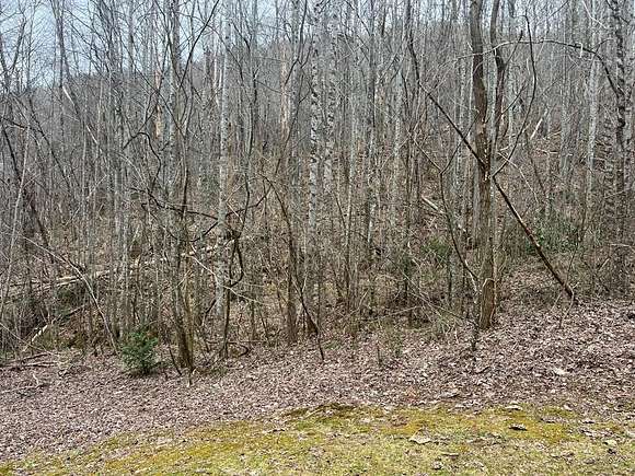 3.5 Acres of Residential Land for Sale in Whittier, North Carolina