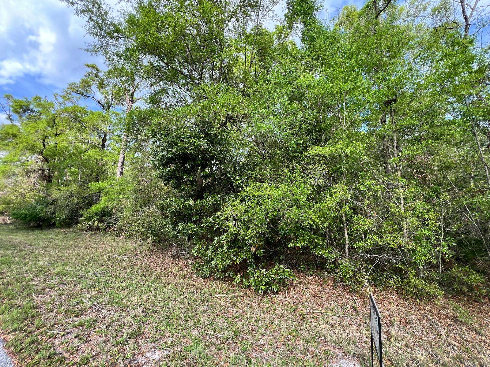 1 Acre of Residential Land for Sale in Chiefland, Florida