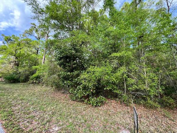 1 Acre of Residential Land for Sale in Chiefland, Florida