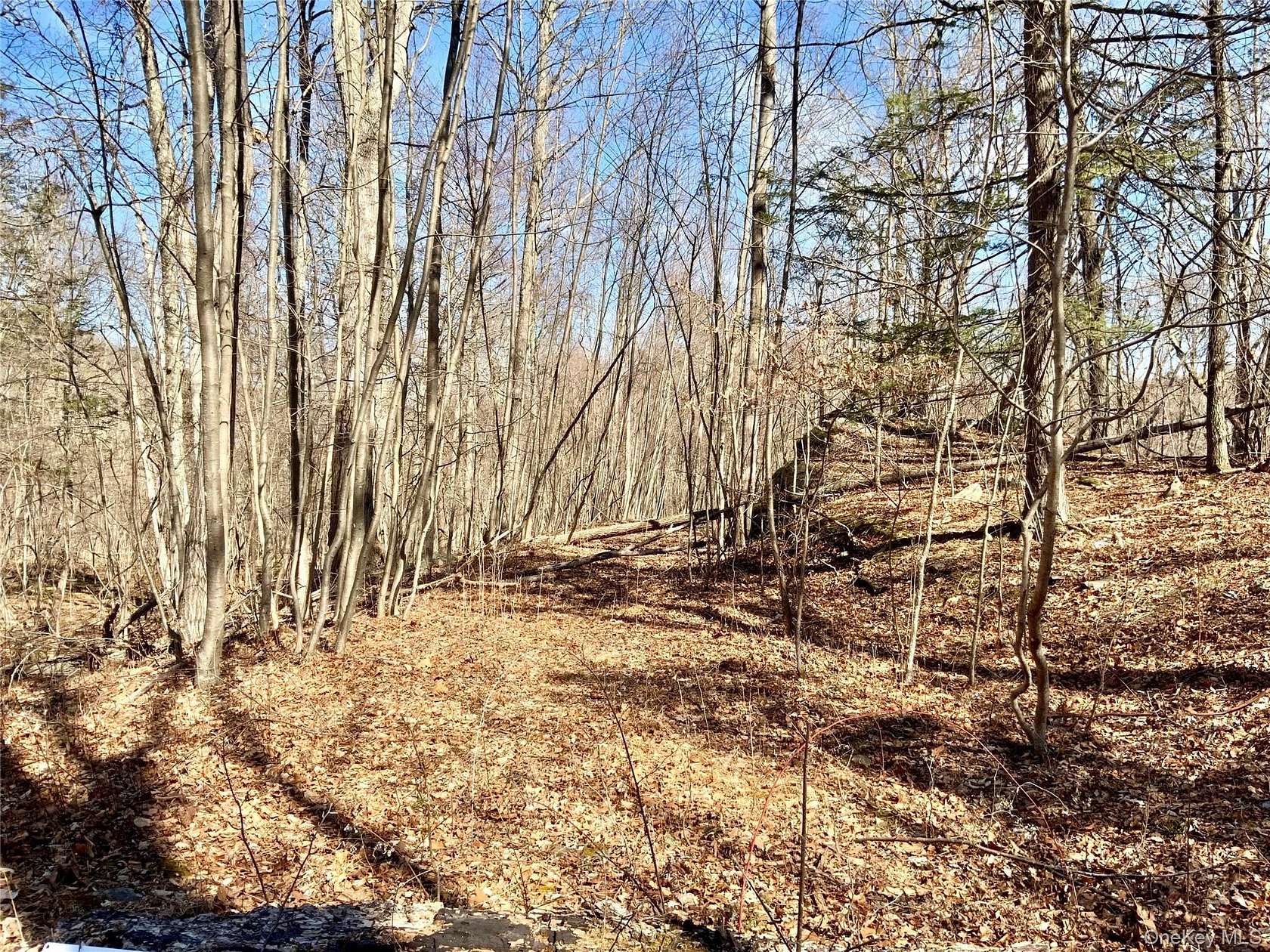11 Acres of Recreational Land for Sale in Highland, New York