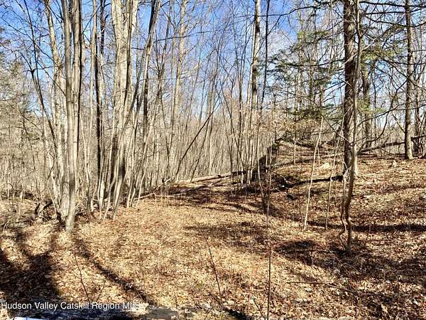 11 Acres of Recreational Land for Sale in Highland, New York