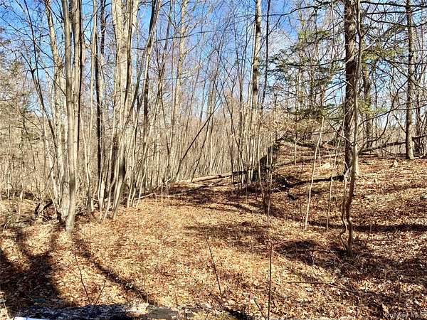 11 Acres of Recreational Land for Sale in Highland, New York