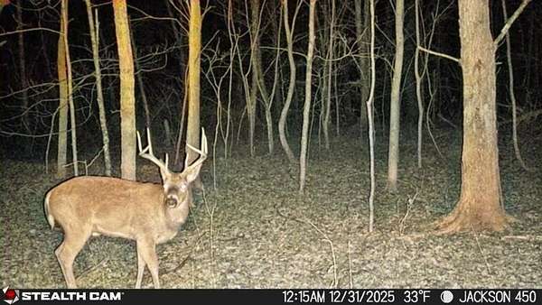 455 Acres of Recreational Land for Sale in Jackson, Kentucky