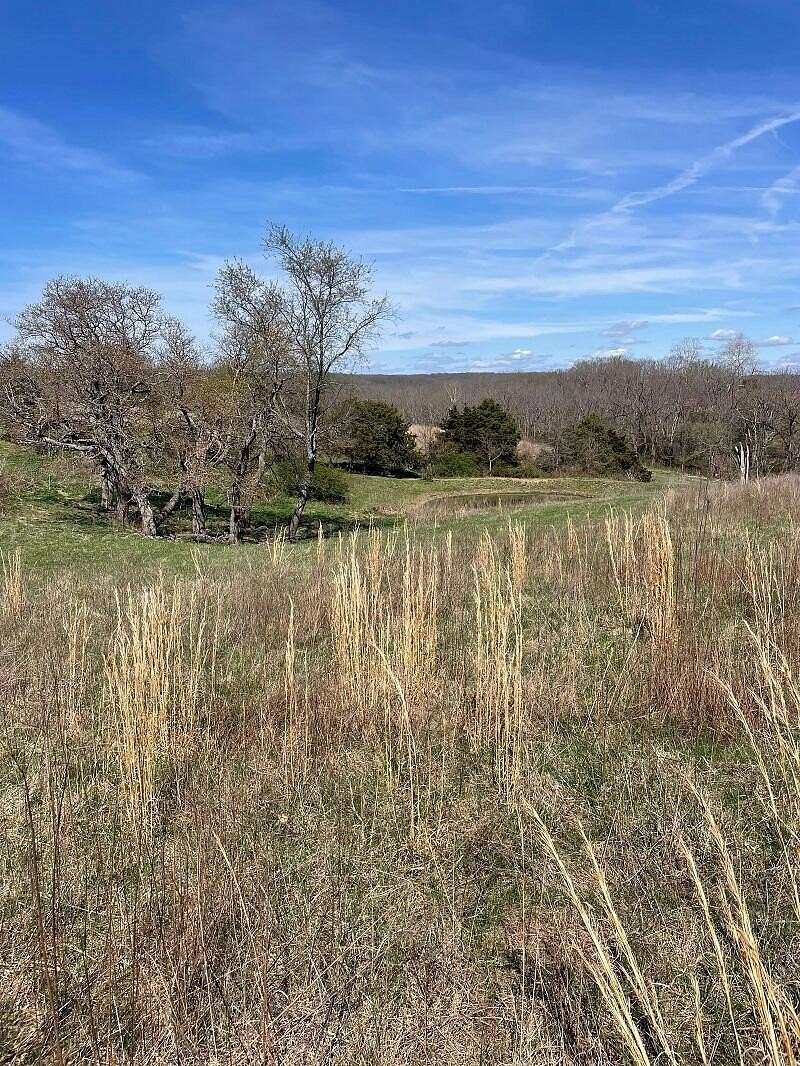 75 Acres of Agricultural Land for Sale in Clever, Missouri