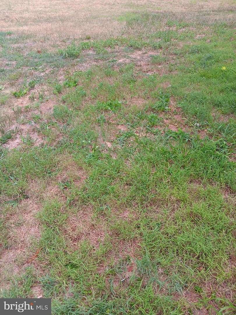 0.18 Acres of Residential Land for Sale in Hurlock, Maryland