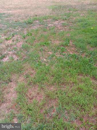 0.18 Acres of Residential Land for Sale in Hurlock, Maryland