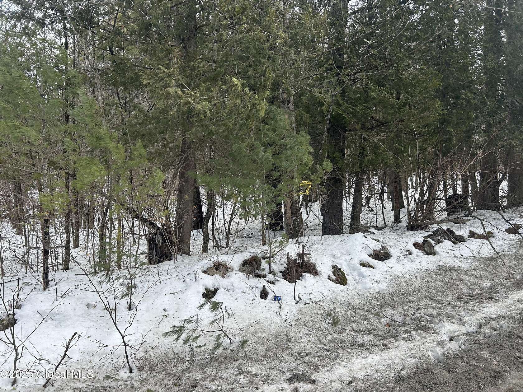 74.9 Acres of Recreational Land for Sale in Crown Point, New York