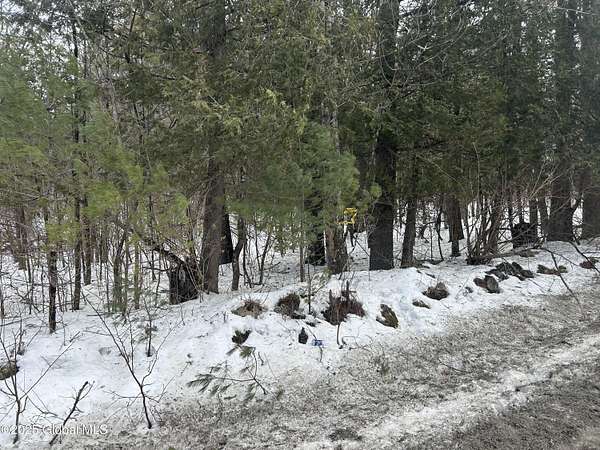 74.9 Acres of Recreational Land for Sale in Crown Point, New York