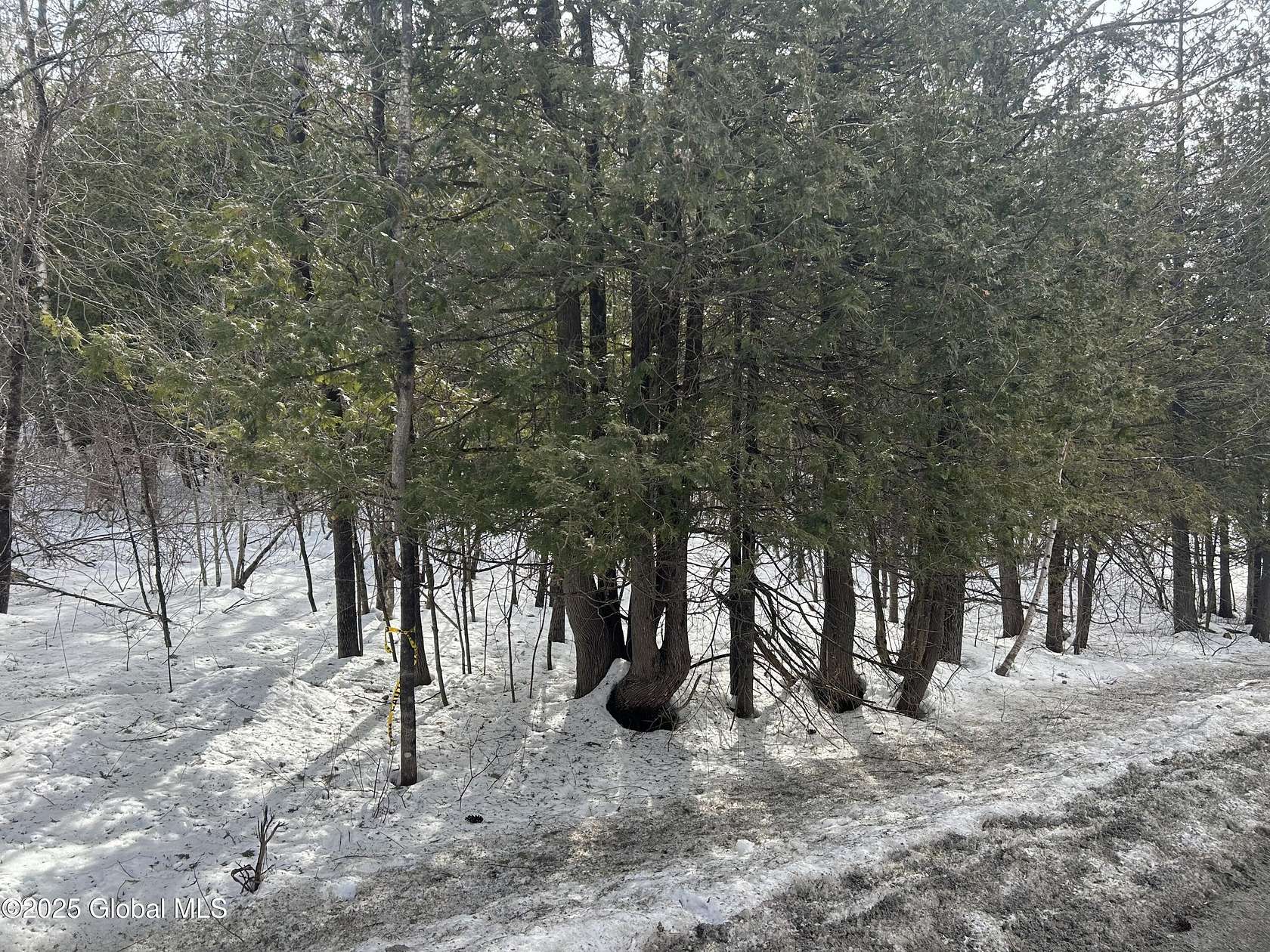 50 Acres of Recreational Land for Sale in Crown Point, New York