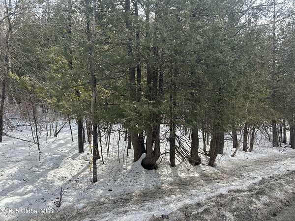 50 Acres of Recreational Land for Sale in Crown Point, New York