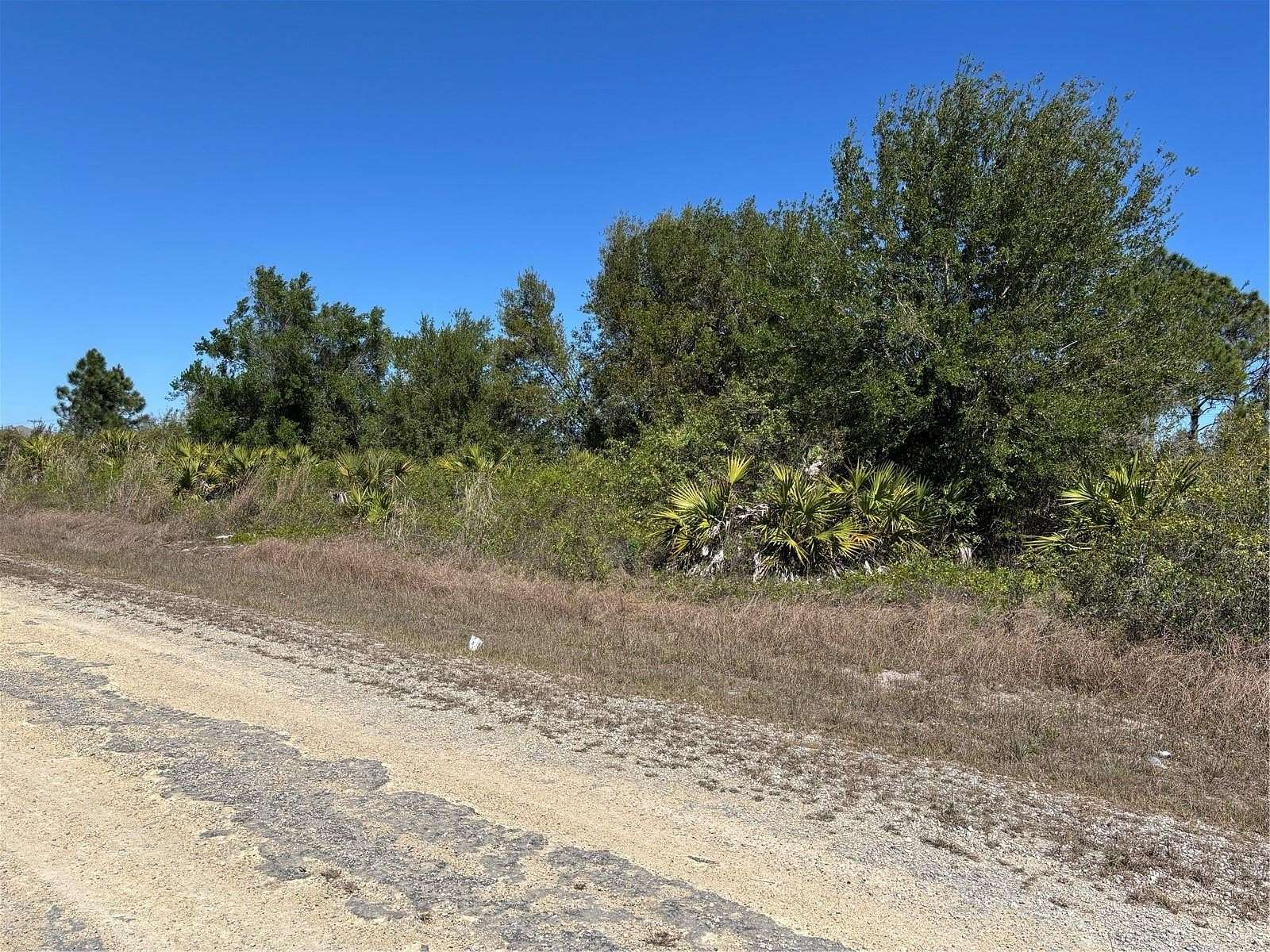0.45 Acres of Residential Land for Sale in Lehigh Acres, Florida