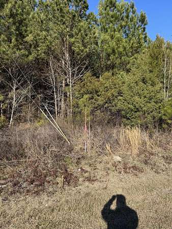 11 Acres of Land for Sale in Eutawville, South Carolina