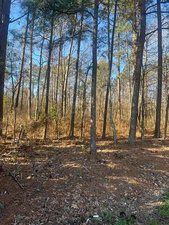 10 Acres of Residential Land for Sale in Jasper, Alabama