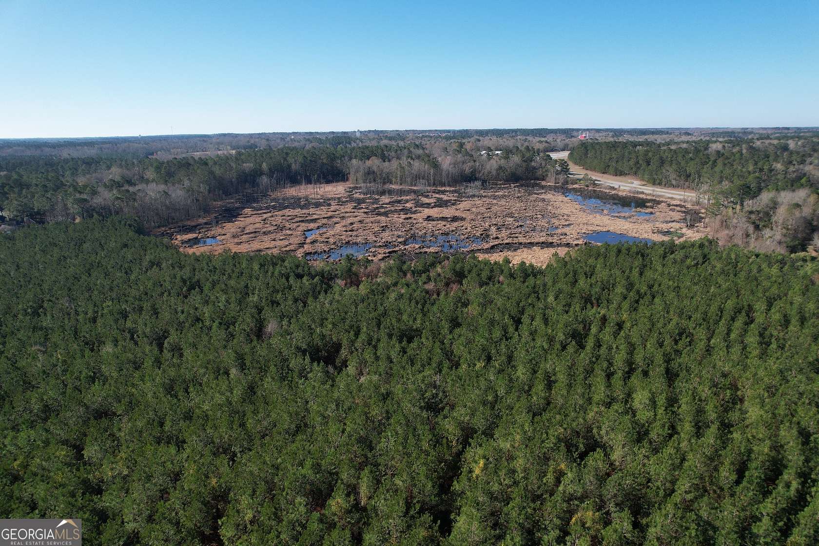 116 Acres of Land for Sale in Sylvania, Georgia