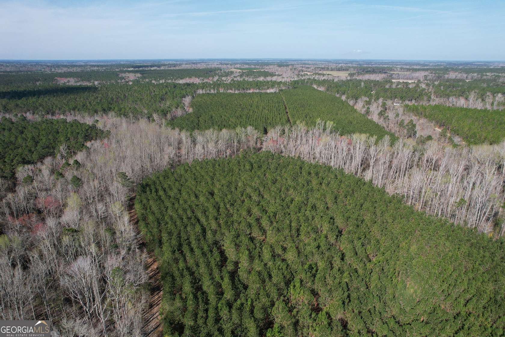 100 Acres of Recreational Land for Sale in Twin City, Georgia