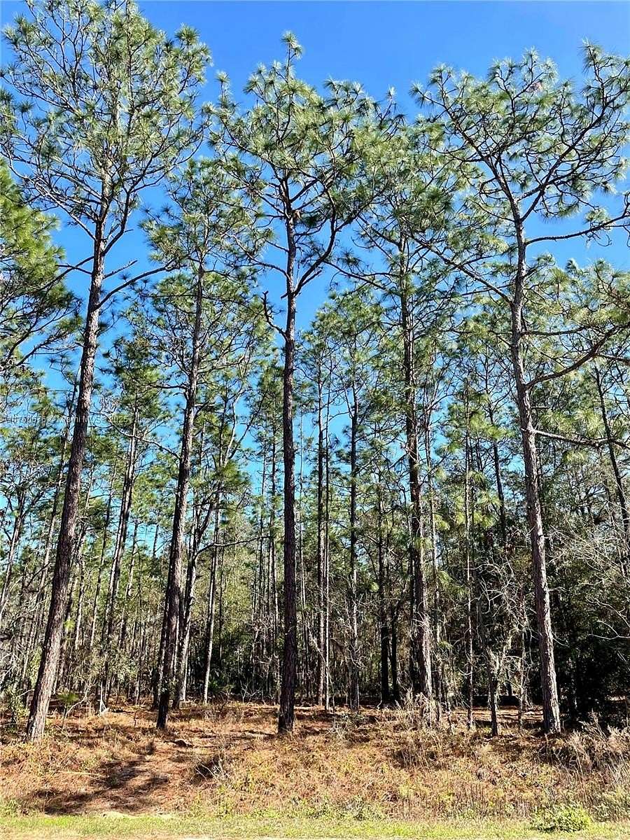 1.16 Acres of Residential Land for Sale in Ocala, Florida