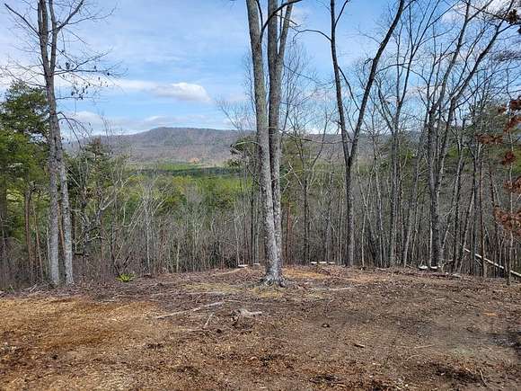 4.66 Acres of Residential Land for Sale in Chatsworth, Georgia