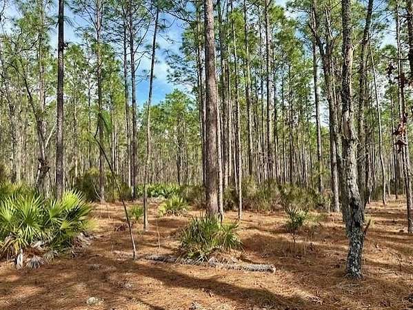 80 Acres of Recreational Land for Sale in Bell, Florida