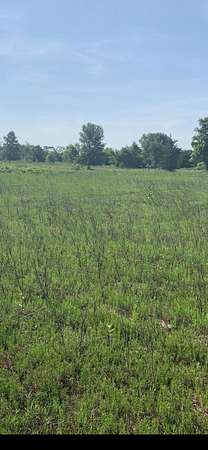 0.23 Acres of Land for Sale in Monterey, Indiana