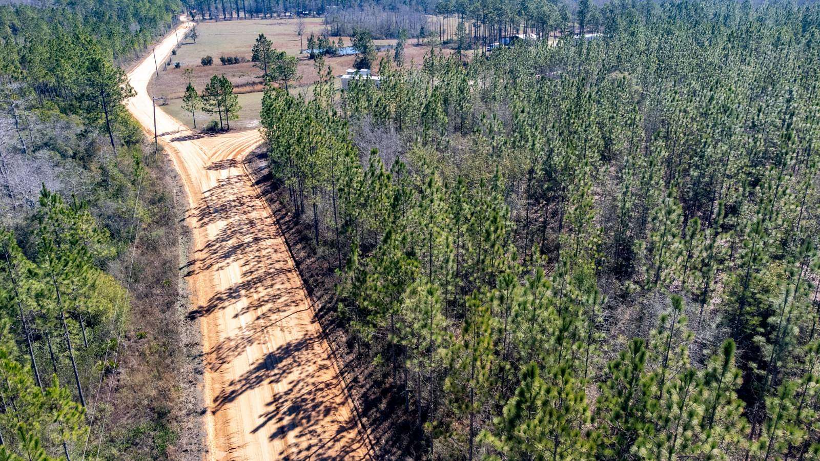 4.73 Acres of Residential Land for Sale in Hosford, Florida