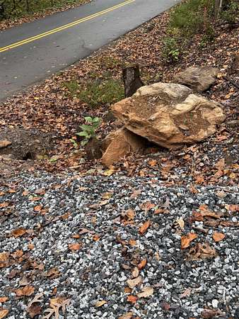 1.46 Acres of Residential Land for Sale in Landrum, South Carolina