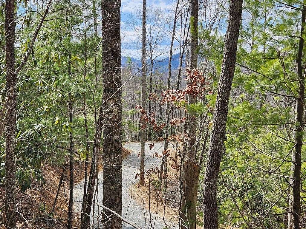 60.7 Acres of Recreational Land for Sale in Topton, North Carolina