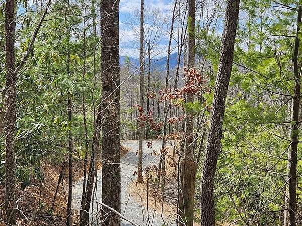 60.7 Acres of Recreational Land for Sale in Topton, North Carolina