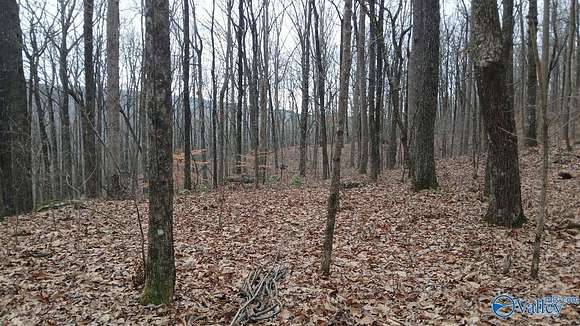 17 Acres of Recreational Land for Sale in Gurley, Alabama