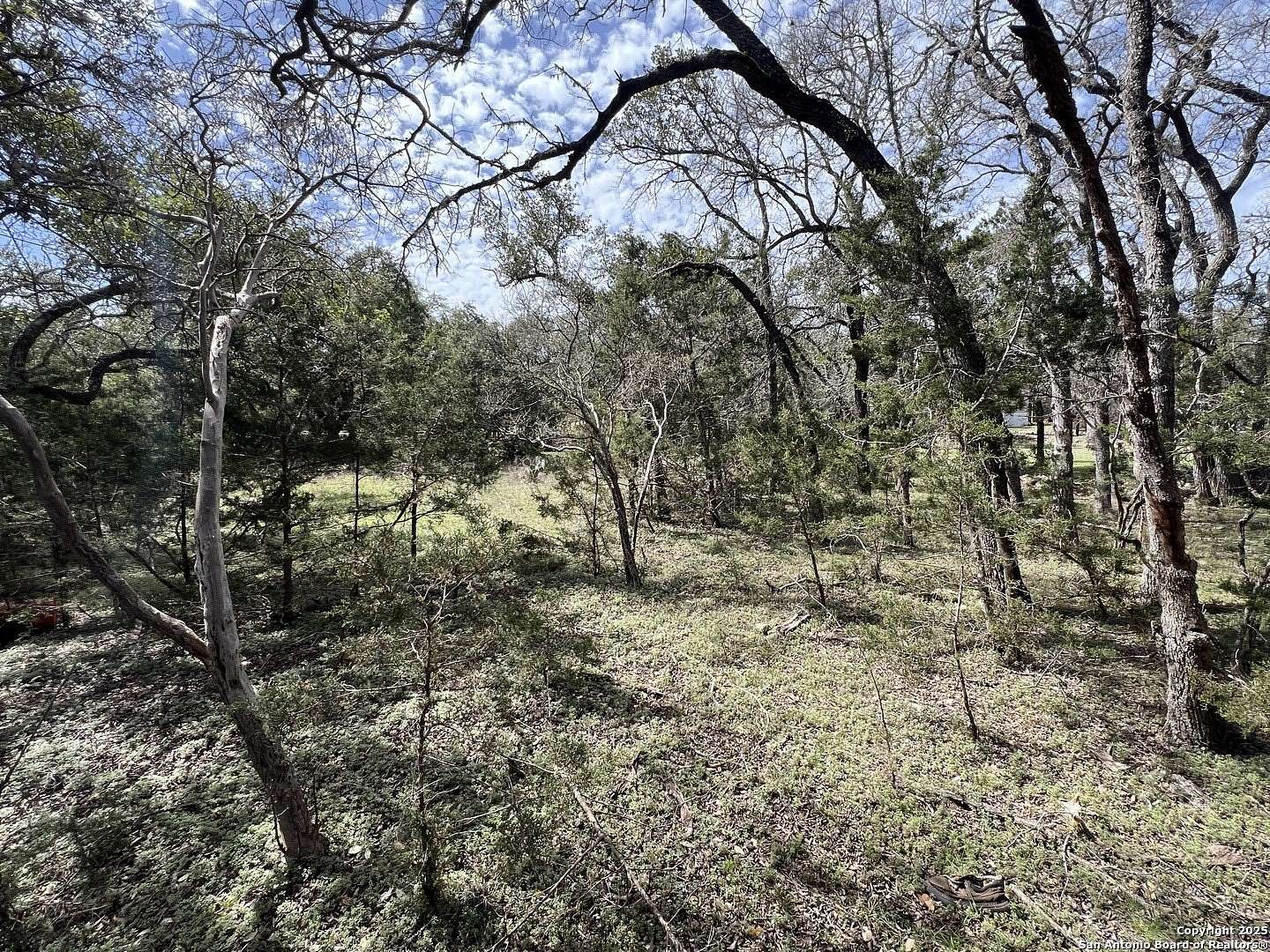 1 Acre of Residential Land for Sale in Spring Branch, Texas