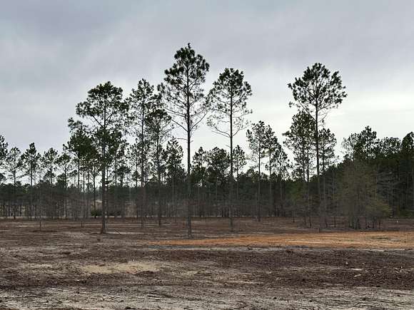 11.2 Acres of Agricultural Land for Sale in Aiken, South Carolina