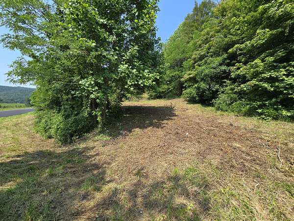 25 Acres of Land for Sale in Rogersville, Tennessee