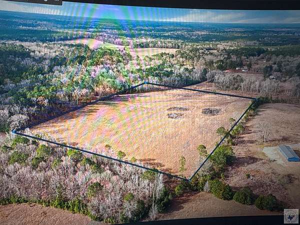 16.3 Acres of Land for Sale in McLeod, Texas