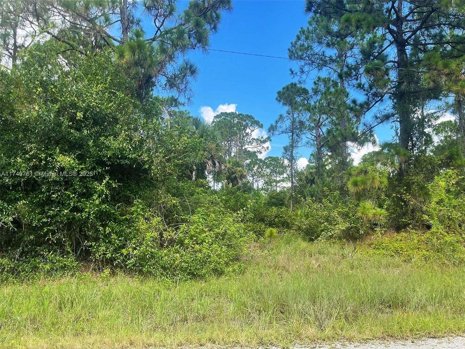 0.34 Acres of Residential Land for Sale in Lehigh Acres, Florida