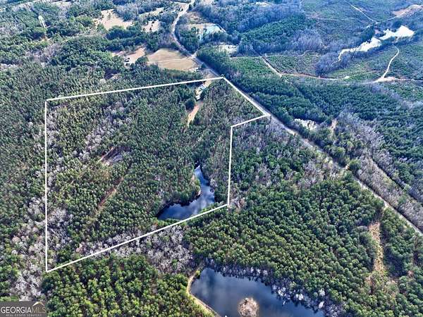 116 Acres of Land for Sale in Greensboro, Georgia